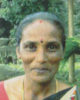 Selvi